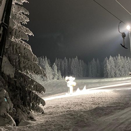 Fewo Jaeger Willingen  Esterno foto