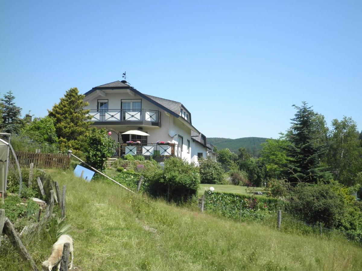 Fewo Jaeger Willingen  Esterno foto