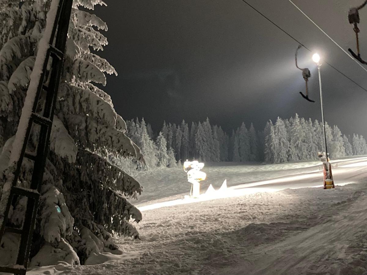 Fewo Jaeger Willingen  Esterno foto